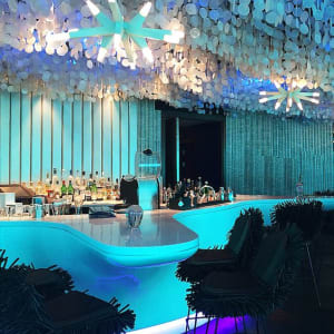 5 Amazing Underwater Restaurants In Maldives That You Ought To Check Out!! 2 best underwater restaurants in maldives